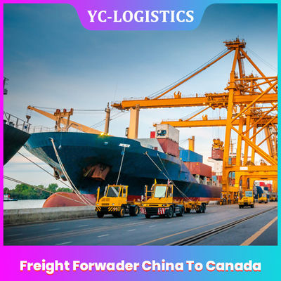 MANDO EXW China al promotor de carga de Canadá de Shenzhen a mundial, servicios de la expedición de la carga de mar de DDU