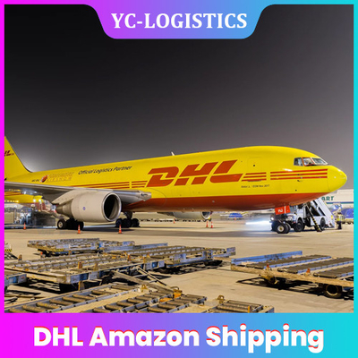 Envío expreso a domicilio de DHL el Amazonas del cargo de China al mejor servicio de África