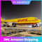 Envío expreso a domicilio de DHL el Amazonas del cargo de China al mejor servicio de África