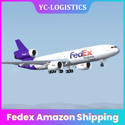 Entrega del PO CA HN el Amazonas Fedex de la entrega del día de China a Europa los E.E.U.U. Canadá