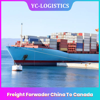 Promotor de carga expreso de la puerta DDP del CIF del mar China a Canadá