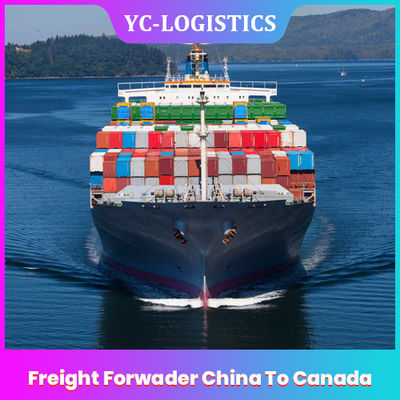 Mar del MANDO promotor de carga de 1 a 17 días China a Canadá