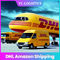 TK promotor de carga de la CZ DHL de 5 a 6 días China a los E.E.U.U. el Amazonas