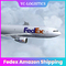 Aire experimentado de envío de Profesional Fedex el Amazonas a Marruecos Ddp a domicilio